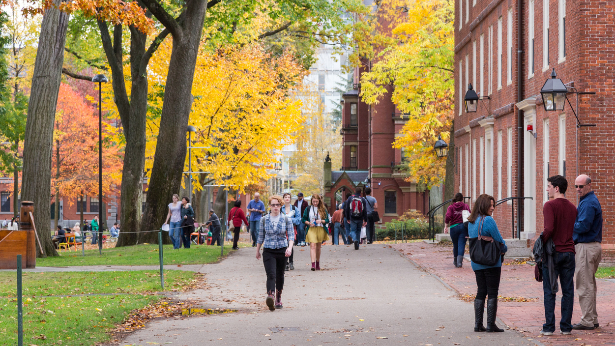 Students walking through a tree-lined college campus